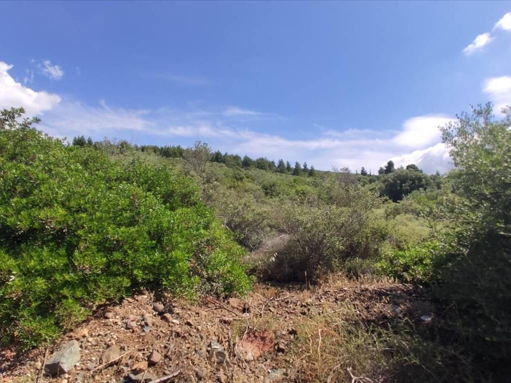 Plot - Grekodom 44502|648200