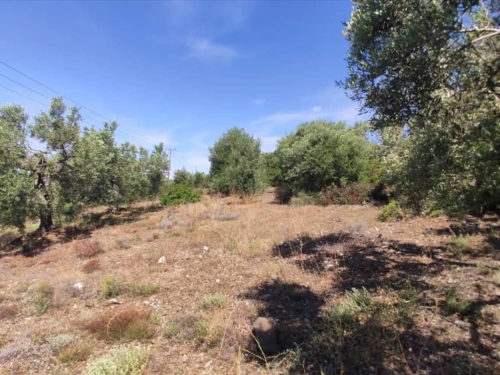 Plot - Grekodom 44502|648201