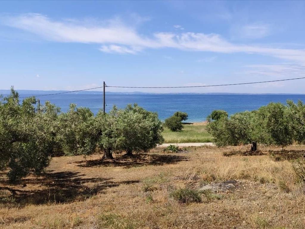 Plot - Grekodom 44502|648202