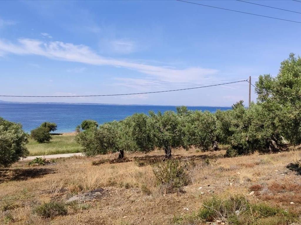 Plot - Grekodom 44502|648203