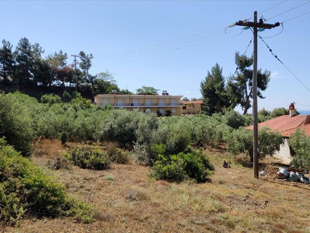 Plot - Grekodom 44502|648204