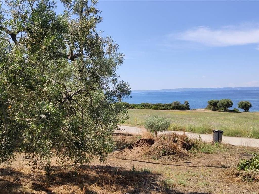 Plot - Grekodom 44502|648206