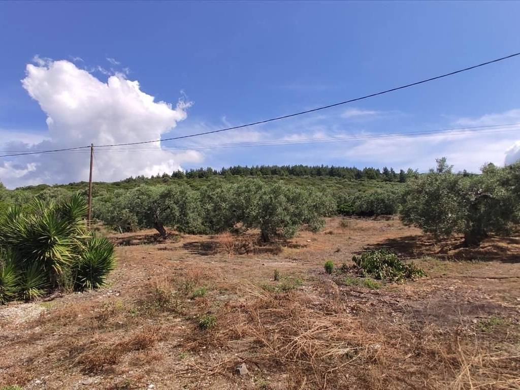 Plot - Grekodom 44502|648208