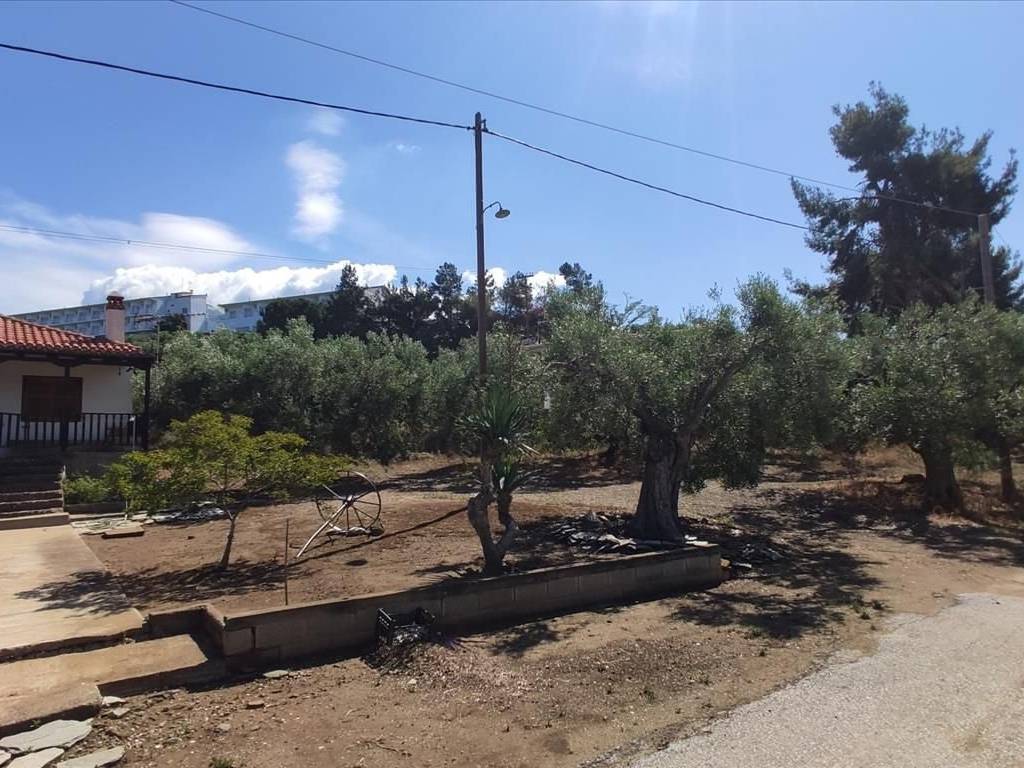 Plot - Grekodom 44502|648209