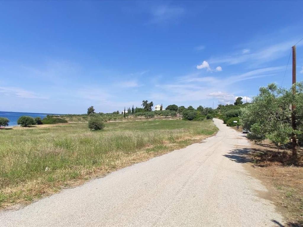 Plot - Grekodom 44502|648211