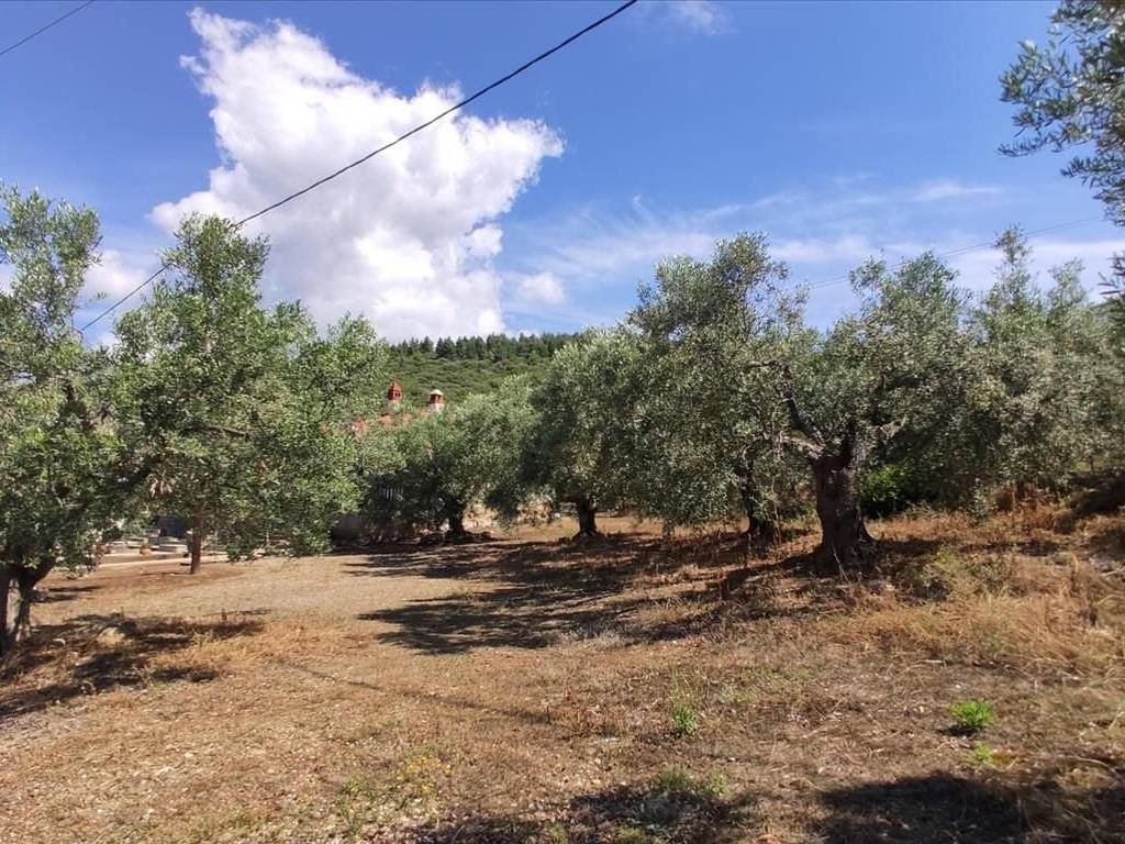 Plot - Grekodom 44502|648212