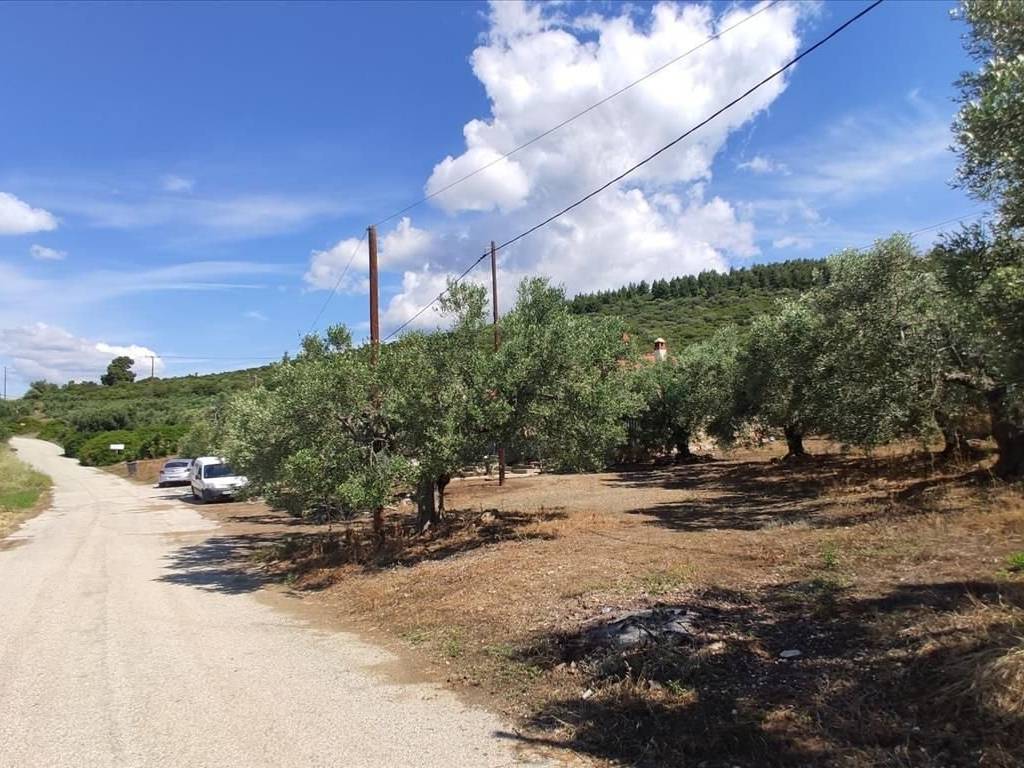 Plot - Grekodom 44502|648213