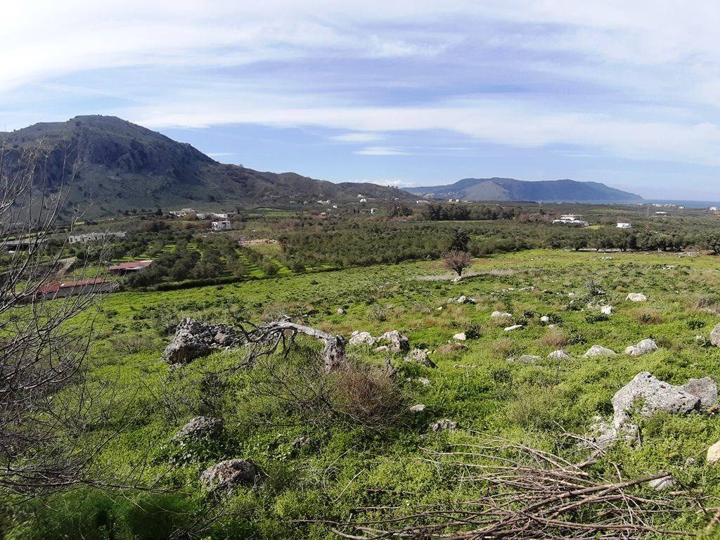 Plot - Grekodom 44015|641641