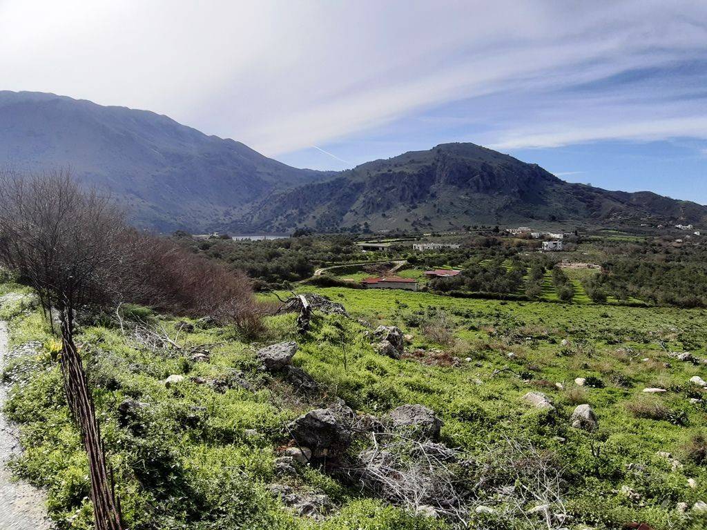 Plot - Grekodom 44015|641644