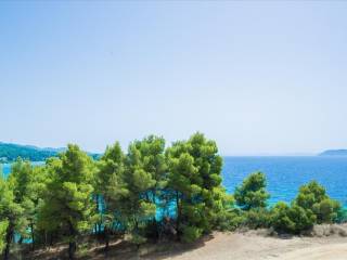 Other commercial - Grekodom 43812|639280