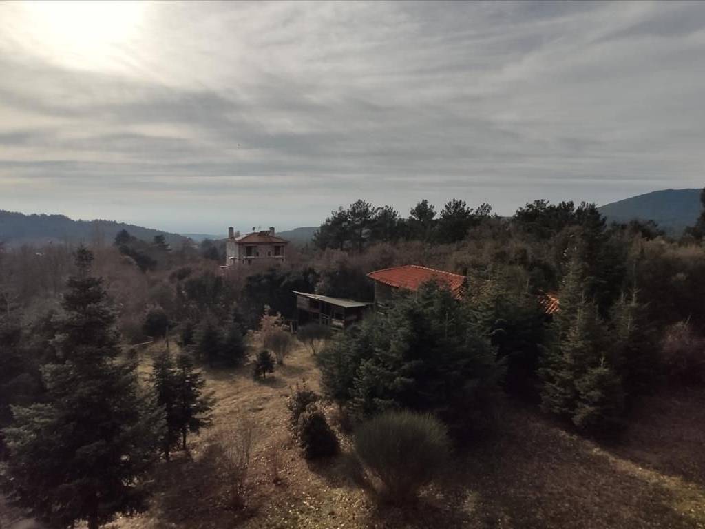 Villa - Grekodom 43555|635763