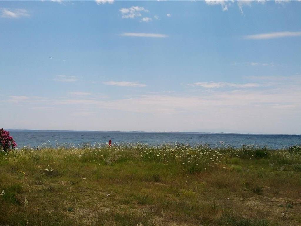 Plot - Grekodom 42986|630547