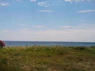 Plot - Grekodom 42986|630547