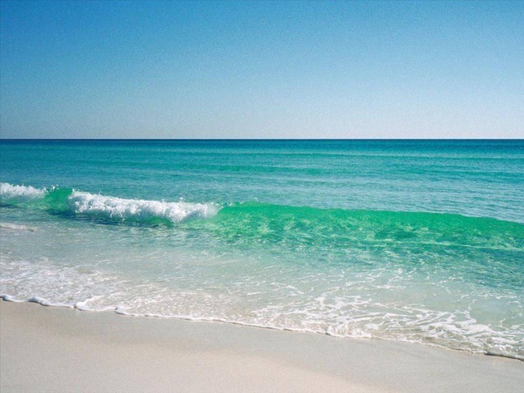 Hotel - Grekodom 42939|630124