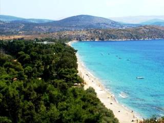 Plot - Grekodom 42500|624619