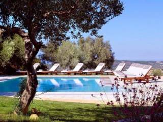 Other commercial - Grekodom 42044|618488