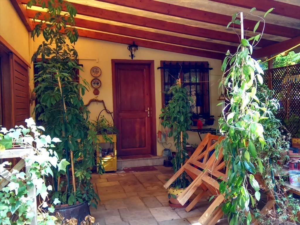 Building - Grekodom 42116|619264