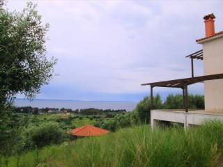 Hotel - Grekodom 41892|616616