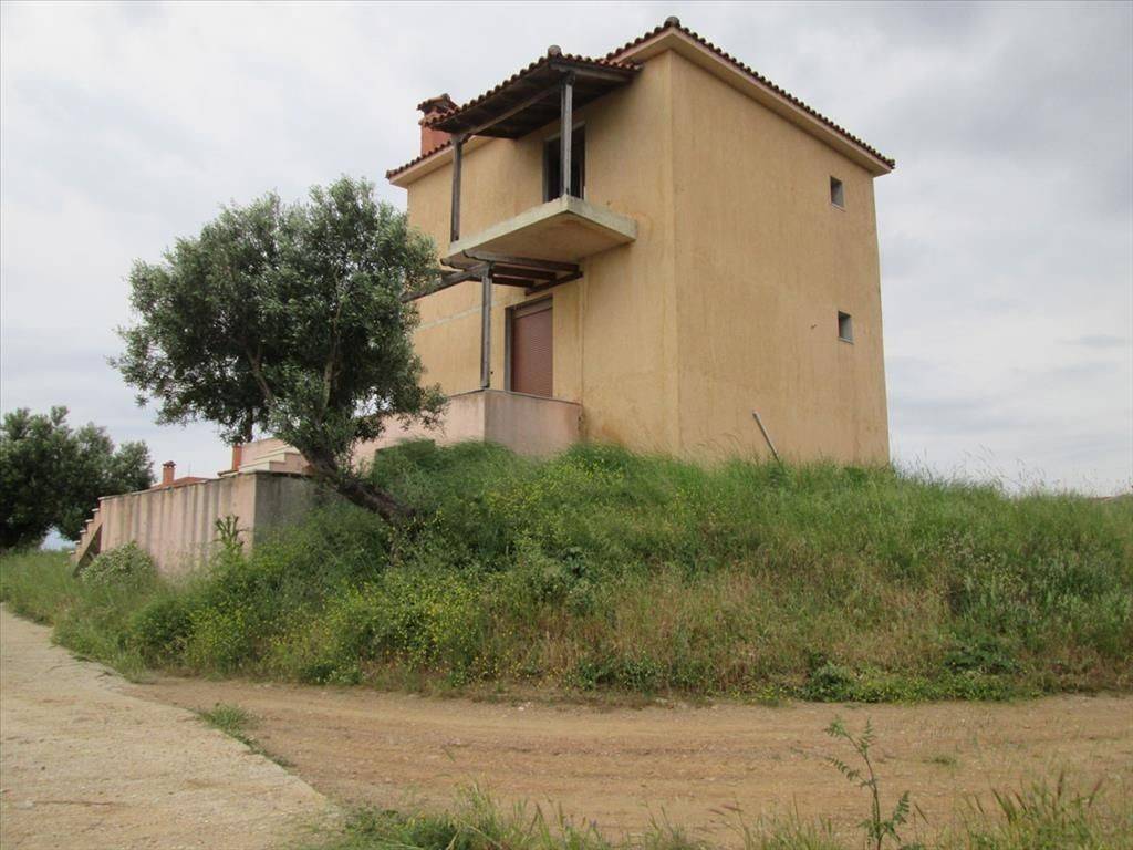 Hotel - Grekodom 41892|616619