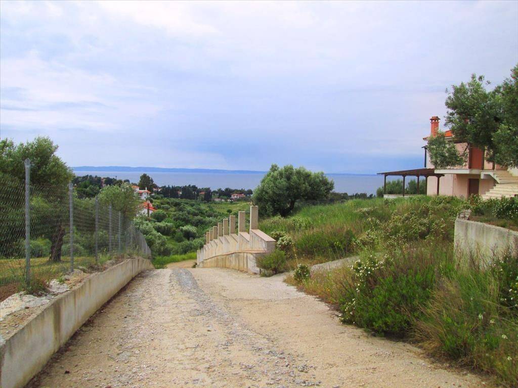 Hotel - Grekodom 41892|616621