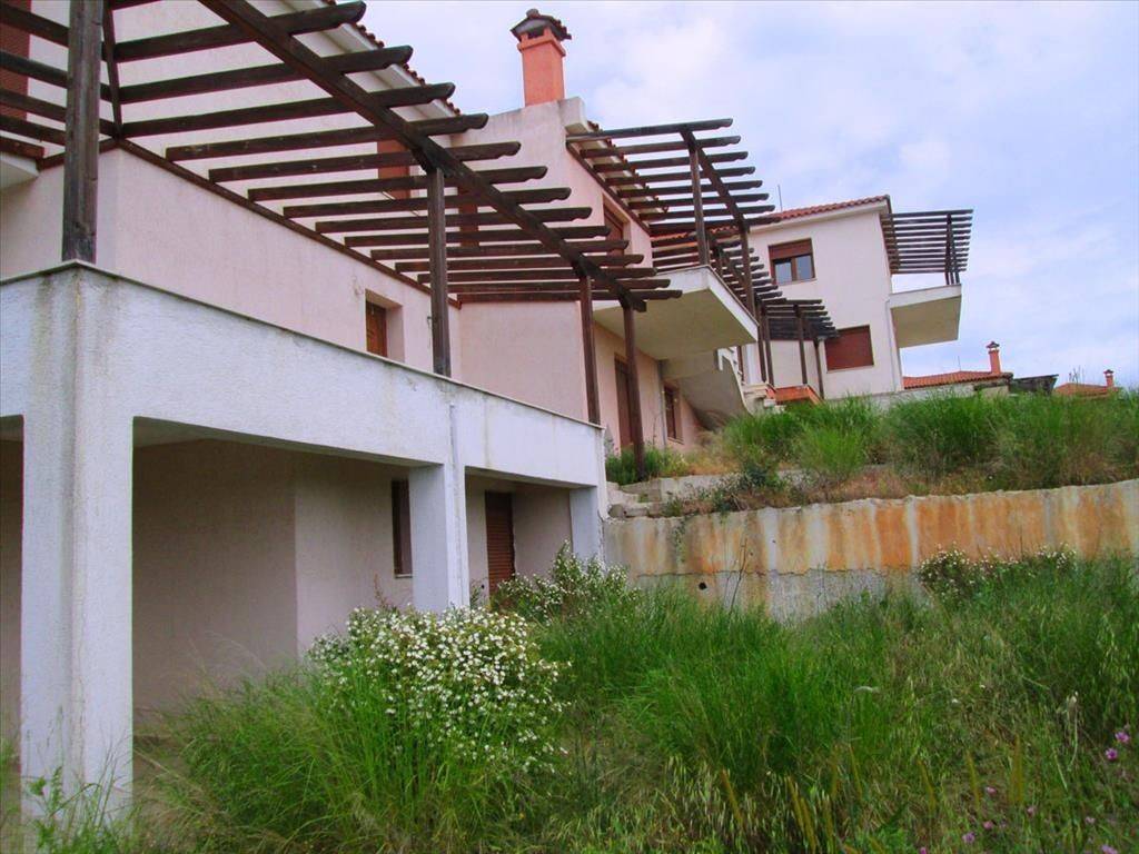 Hotel - Grekodom 41892|616622