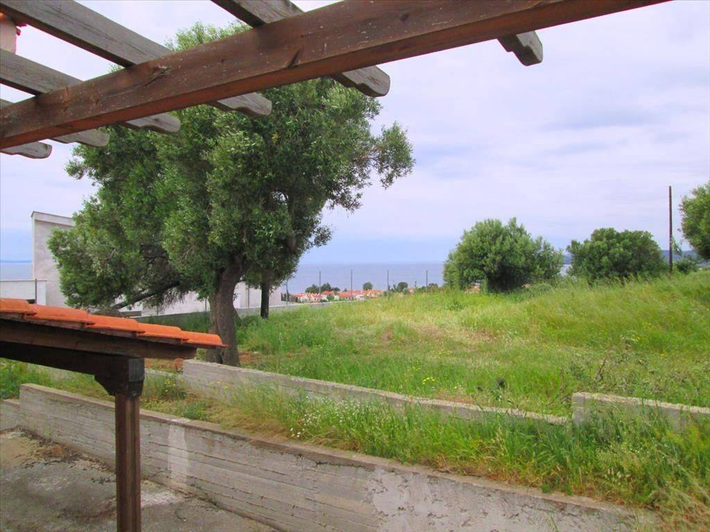 Hotel - Grekodom 41892|616625