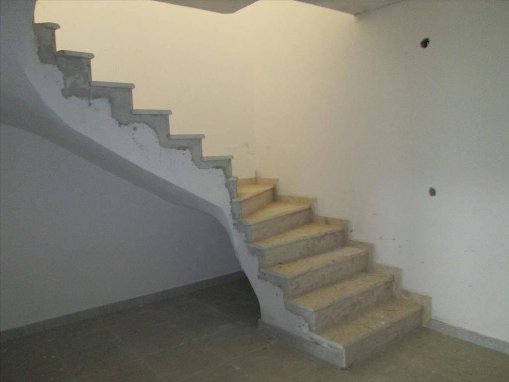 Hotel - Grekodom 41892|616630