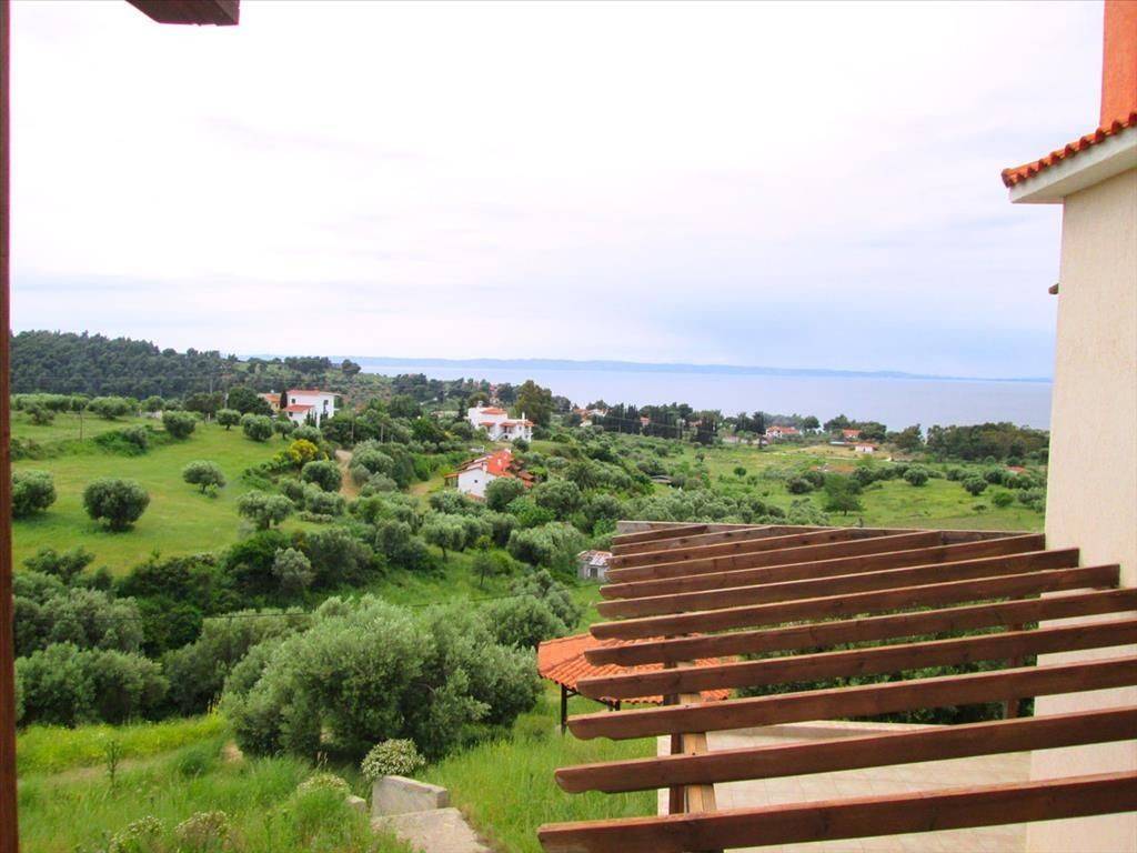 Hotel - Grekodom 41892|616634