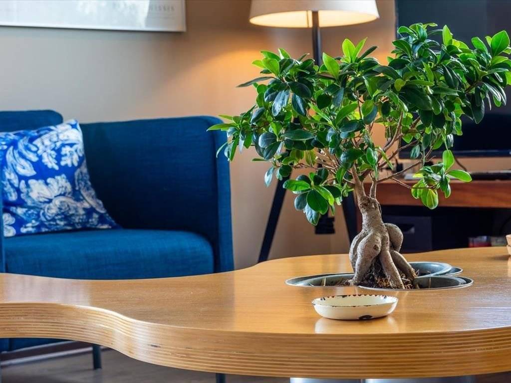 Villa - Grekodom 41219|610383