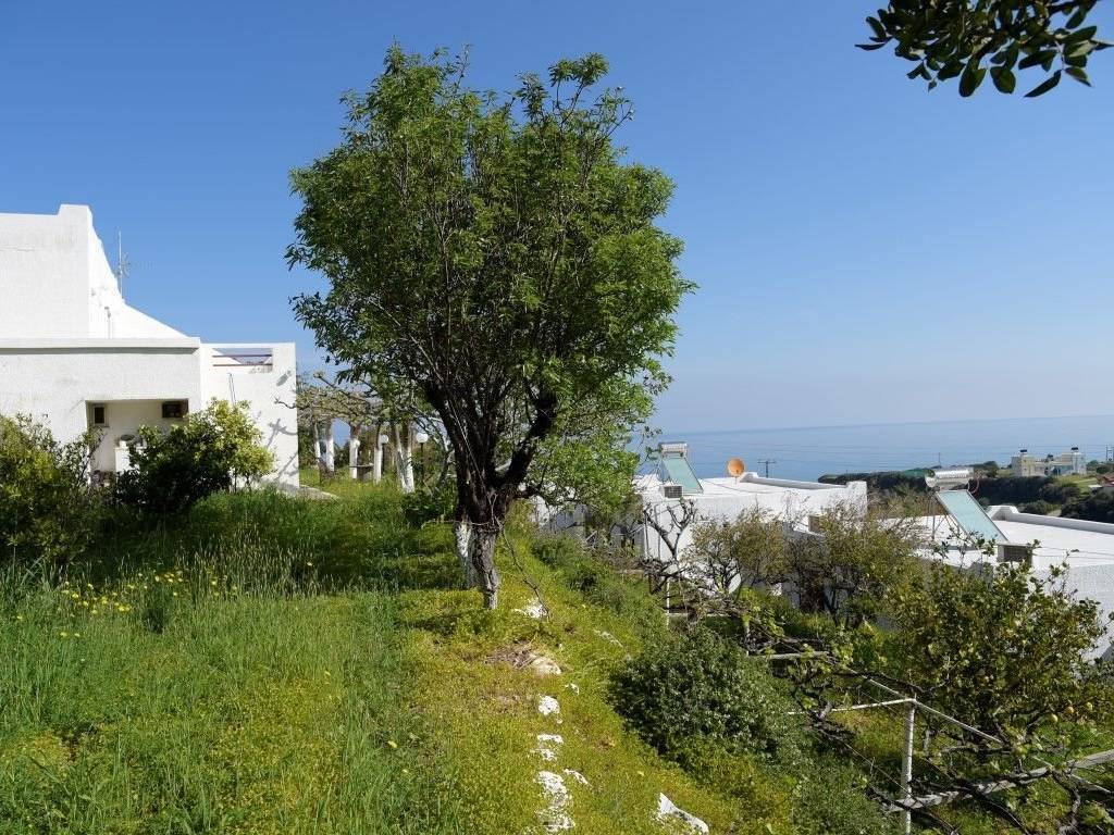 Plot - Grekodom 40470|600497