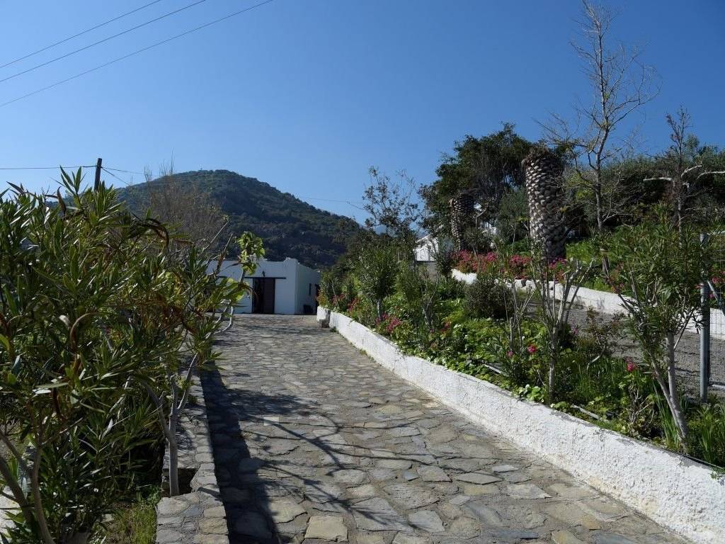 Plot - Grekodom 40470|600496