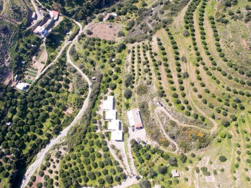 Plot - Grekodom 40470|600502