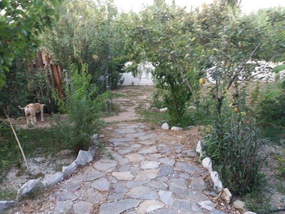 Other commercial - Grekodom 40525|601007