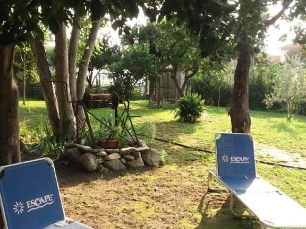 Other commercial - Grekodom 40525|601003