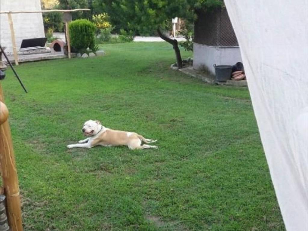 Other commercial - Grekodom 40525|601005