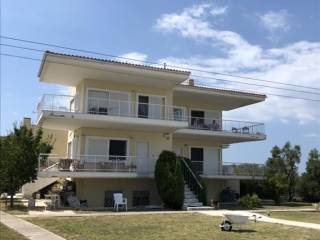 Hotel - Grekodom 40043|595042