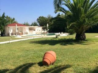 Hotel - Grekodom 40043|594839