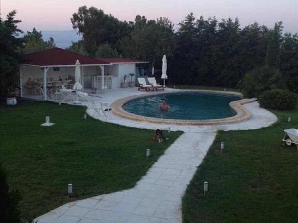 Hotel - Grekodom 40043|594845