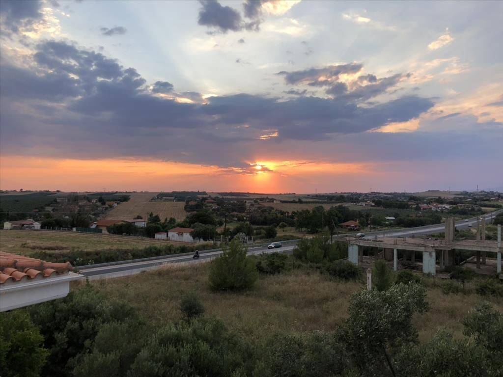 Hotel - Grekodom 40043|594846