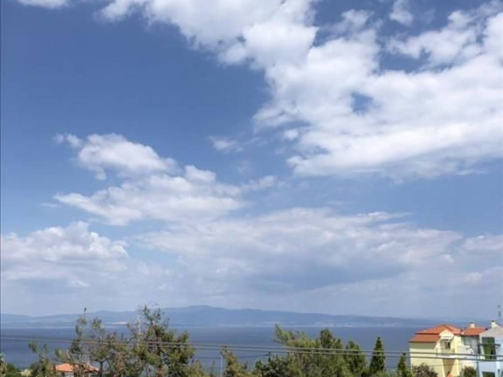 Hotel - Grekodom 40043|595044