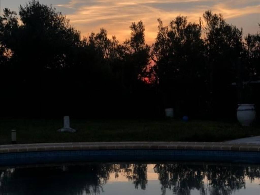 Hotel - Grekodom 40043|594844