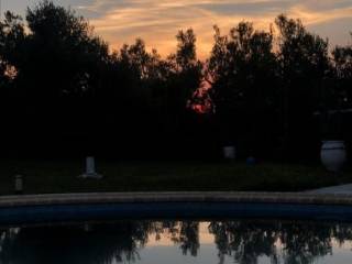 Hotel - Grekodom 40043|594844