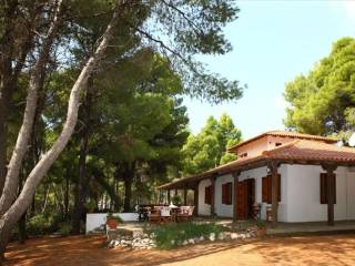 Detached - Grekodom 39990|594959