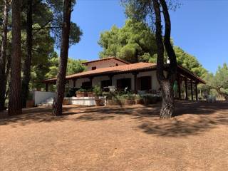 Detached - Grekodom 39990|595010