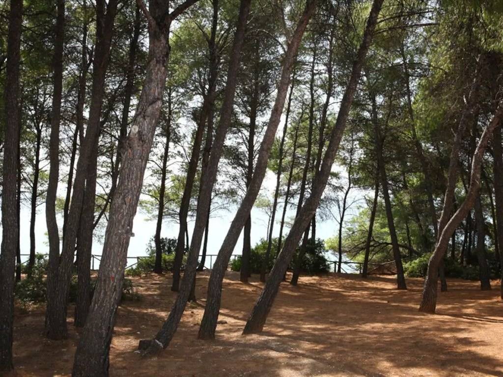 Detached - Grekodom 39990|594953