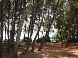 Detached - Grekodom 39990|594953