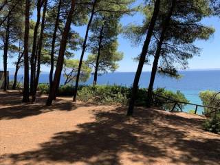 Detached - Grekodom 39990|595015