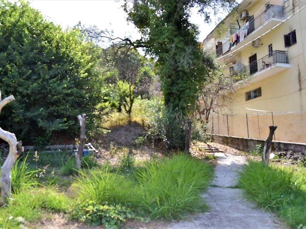 Detached - Grekodom 39799|591417