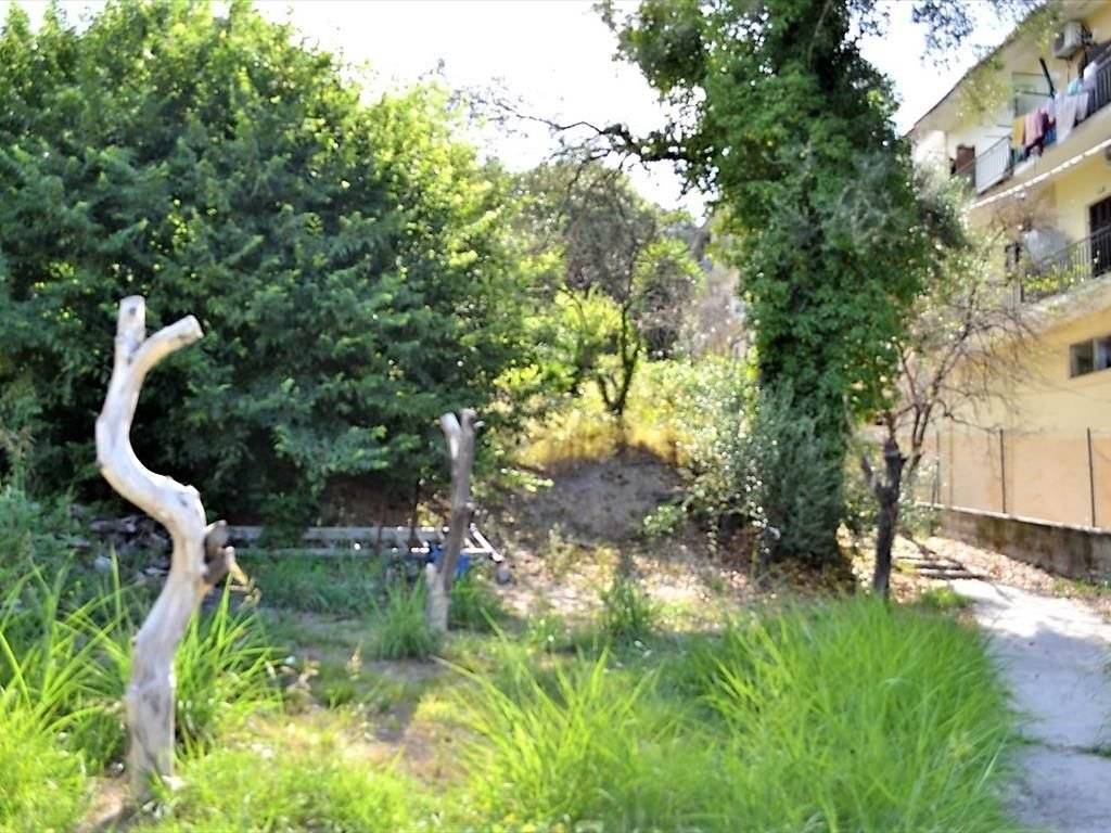 Detached - Grekodom 39799|591418