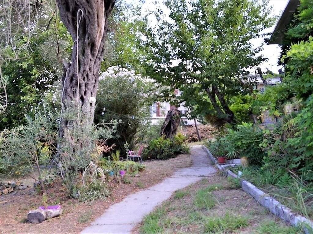 Detached - Grekodom 39799|591420